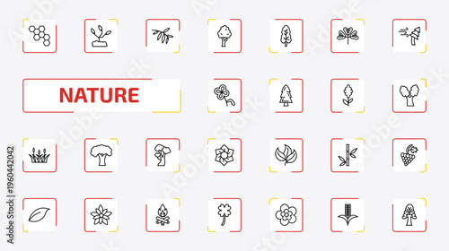 nature outline icon set. 25 linear vector for ui, web and mobile. thin line chemical structure, grow plant, black willow and more icons.