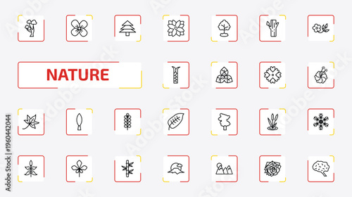 nature outline icon set. 25 linear vector for ui, web and mobile. thin line gray birch tree, wallflower, pine tree and more icons.
