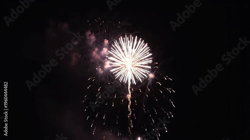 Bursting firework display illuminates the dark night sky, perfect for new years eve celebrations or independence day promotions.