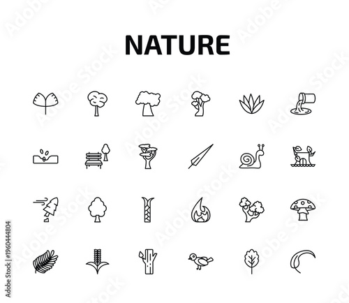 nature outline icon set. 24 linear vector for ui, web and mobile. thin line ginkgo, bigtooth aspen tree, black cherry tree and more icons.