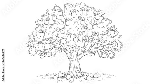 Intricate line art illustration of a large leafy apple tree laden with fruit and several fallen apples on the ground beneath the branches.