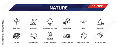nature outline icon set. 12 linear vector for ui, web and mobile. thin line cuspicate, farming, american elm tree and more icons.