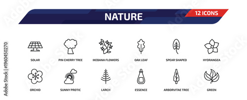 nature outline icon set. 12 linear vector for ui, web and mobile. thin line solar, pin cherry tree, ikebana flowers and more icons.