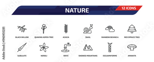 nature outline icon set. 12 linear vector for ui, web and mobile. thin line black willow, quaking aspen tree, acacia and more icons.