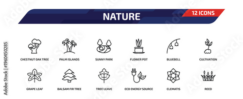 nature outline icon set. 12 linear vector for ui, web and mobile. thin line chestnut oak tree, palm islands, sunny park and more icons.