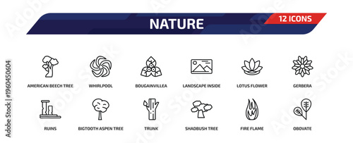 nature outline icon set. 12 linear vector for ui, web and mobile. thin line american beech tree, whirlpool, bougainvillea and more icons.