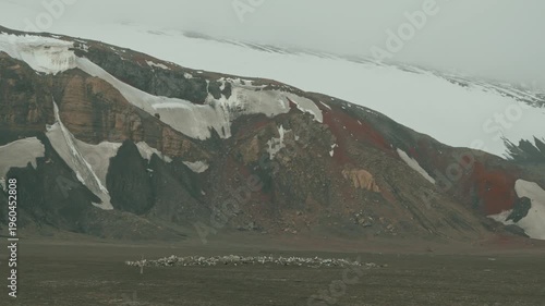 Dramatic rust-red layered volcanic slopes slashed with bold snow fields tower over tiny whaling cemetery on dark ash plain at Whalers Bay, Deception Island, Antarctica