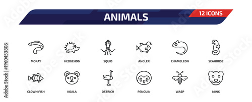 animals outline icon set. 12 linear vector for ui, web and mobile. thin line moray, hedgehog, squid and more icons.