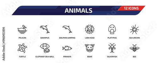animals outline icon set. 12 linear vector for ui, web and mobile. thin line pelican, grampus, dolphin jumping and more icons.