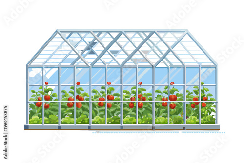 A detailed illustration of a greenhouse filled with ripening tomato plants