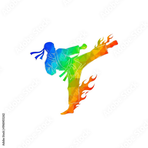 karate girl martial art vector icon