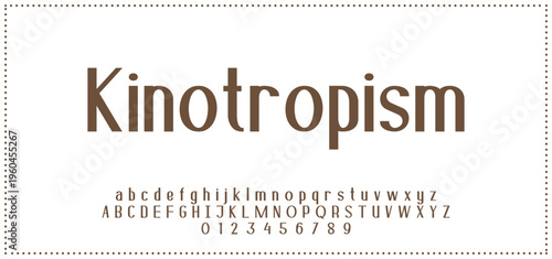 Beauty Luxury font alphabet logo. Typography beautiful fashion elegant classic letters serif italic fonts decorative wedding vintage blossom logos. vector illustratio