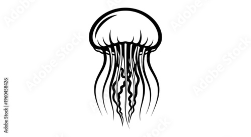 Black and white illustration of a jellyfish with long tentacles on a white background.