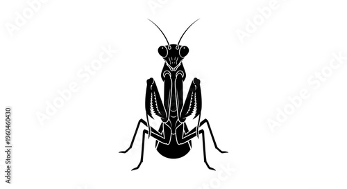 A black silhouette of a praying mantis against a white background.