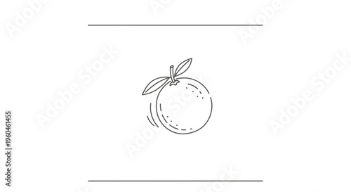 Minimalist citrus fruit line art illustration on a clean white background, ideal for fresh graphic