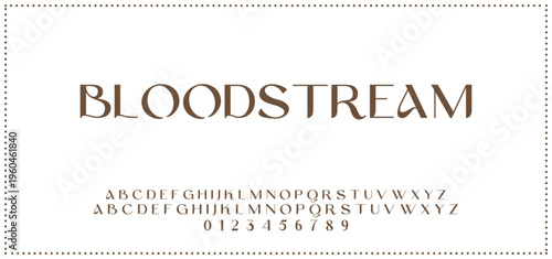 Elegant alphabet letters font and number. Typography luxury classic lettering serif fonts decorative for logo wedding vintage retro concept. vector illustration.