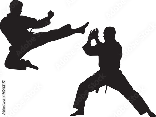 Martial arts, karate, taekwondo, fighting silhouettes, kickboxing, combat sports