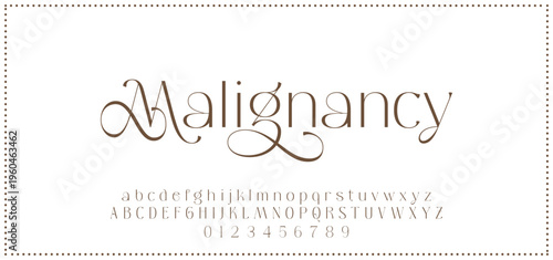 Elegant alphabet letters font and number. Typography luxury classic lettering serif fonts decorative for logo wedding vintage retro concept. vector illustration.