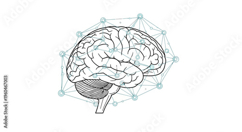Abstract network of connections around a human brain illustration