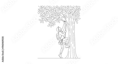 A person meticulously ascends a towering tree trunk equipped with specialized climbing gear and