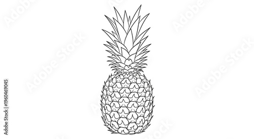 Pineapple Outline Drawing - Tropical Fruit Icon