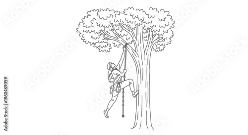 Adventurous person ascends a towering tree using specialized rope climbing equipment in a