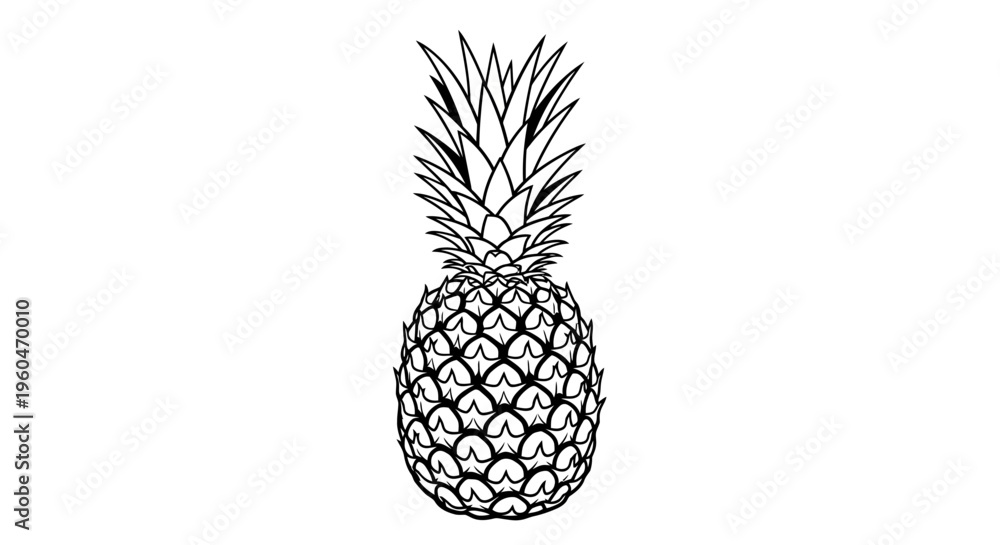 Obraz premium Fresh Pineapple Fruit Outline Drawing, Tropical Food, Healthy Eating, Vector Illustration