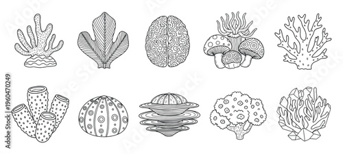 Collection of stylized underwater organisms and fungi line drawings perfect for coloring pages, educational materials, or decorative graphic projects