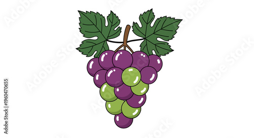 Fresh Bunch of Purple and Green Grapes with Leaves on White Background