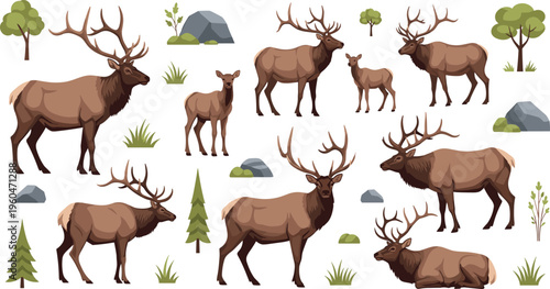 Elk wildlife collection with forest animals adult and baby deer natural habitat vector illustration set isolated on white background