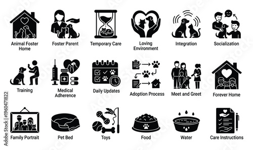 Comprehensive collection of glyph icons representing various aspects of animal foster care, pet adoption, and pet needs, suitable for informational materials and service promotion