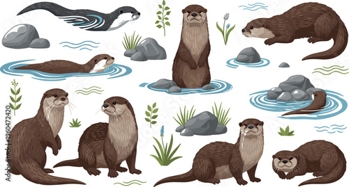 Otter wildlife collection with river animals natural habitat poses rocks water plants detailed vector illustration set isolated on white background