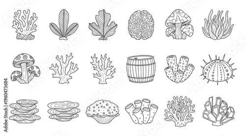 Outline vector collection featuring diverse underwater marine life, natural organisms, and unique objects, perfect for childrens coloring books, educational materials, or printable activity