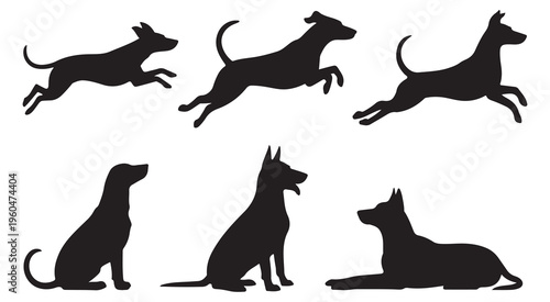 Photography Set of six silhouette dogs in various poses running jumping and sitting vector i