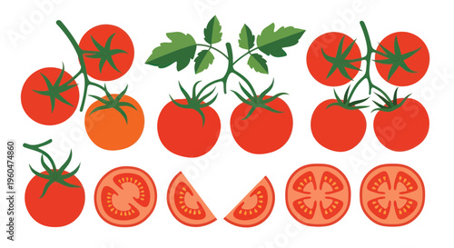 Fresh Ripe Tomatoes Collection: Whole, Halved, and On the Vine