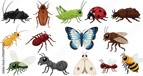Large collection of colorful cartoon insect vector icons featuring butterfly bee ant ladybug grasshopper beetle and fly isolated on white background for nature education and wildlife design