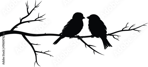 Black silhouette of two birds sitting on a tree branch isolated on white background, flat vector illustration of nature wildlife for graphic design.