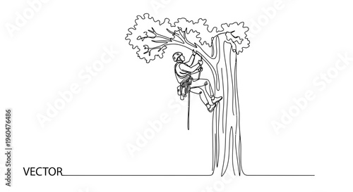 Professional arborist meticulously ascending a large tree for expert pruning and maintenance