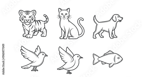 Black and white line drawings of six animals tiger cat dog bird dove fish