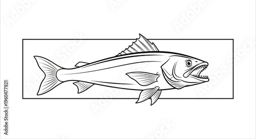 Detailed monochromatic illustration of a powerful predatory fish with sharp teeth in an aggressive
