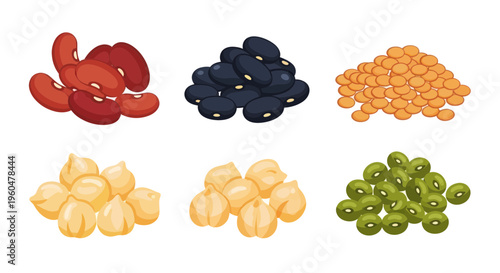 Assortment of Legumes: Kidney Beans, Black Beans, Lentils, Chickpeas, and Green Peas
