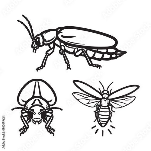 Firefly Lightning Bug Glow Tail Three View Bold Line Art Vector Design