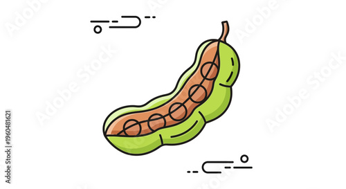 Vibrant line art portrayal of a fresh tamarind fruit pod with exposed edible interior illustration