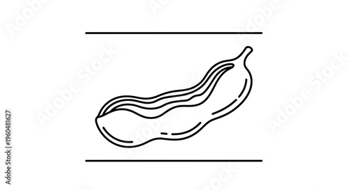 Detailed line art illustration of the human digestive organ, highlighting its unique anatomical