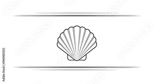 Elegant monochrome seashell outline with sophisticated line borders for minimalist coastal designs