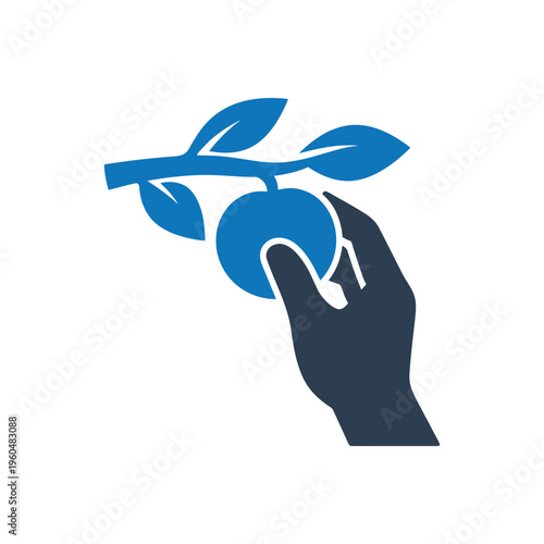 Organic Harvest Fruit Picking Icon