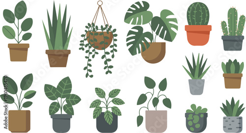 Minimal line art houseplants set indoor home decor plants collection with monstera ficus pothos cactus and tropical leaves illustration