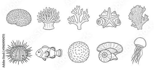 Collection of diverse ocean and biological organisms in outline illustrations perfect for educational resources, marine biology projects, or printable coloring sheets