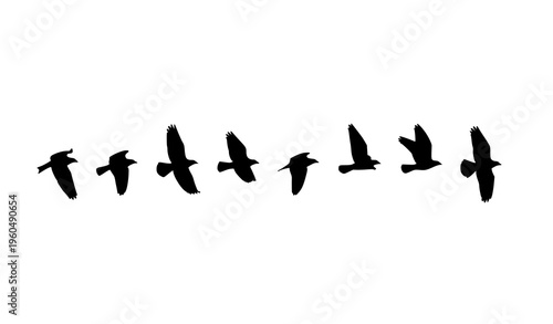 Linear sequence of flying bird silhouettes showing migration direction isolated on white background vector