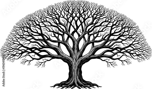 A detailed illustration of a bare tree with sprawling branches